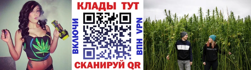 Купить наркотик Нытва Галлюциногенные грибы Амфетамин ГАШ Меф мяу мяу Канабис