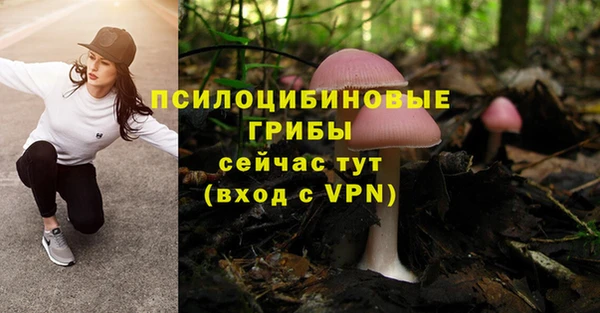 мескалин Алексеевка