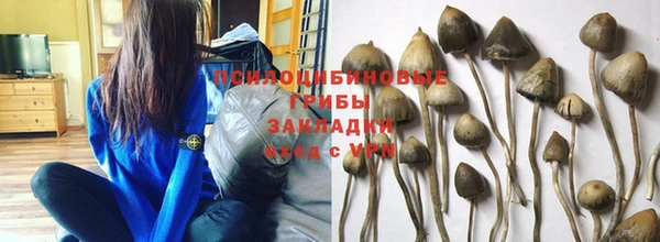 мет Алексин