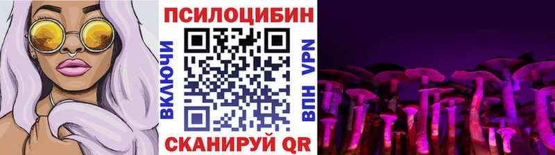 Псилоцибиновые грибы Psilocybine cubensis  купить закладку  Нытва 